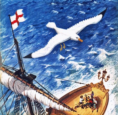 Albatros door English School
