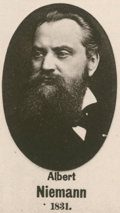 Albert Niemann door English School