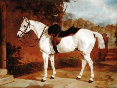 Ali, portret van een paard door English School