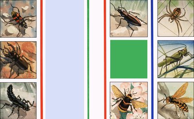 Allerlei insecten door English School