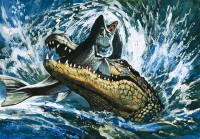 Alligator eet vis door English School