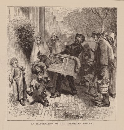 Een illustratie van de Darwinistische theorie (gravure) door English School