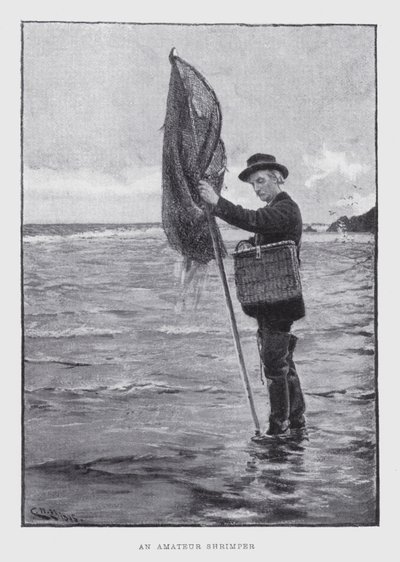 Een amateur garnalenvisser (litho) door English School