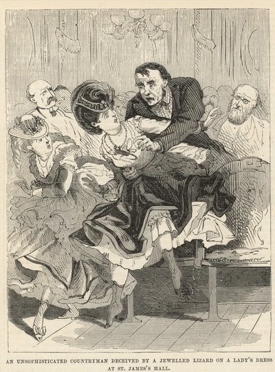 Een onschuldige plattelander bedrogen door een juweel hagedis op een jurk van een dame in St. James