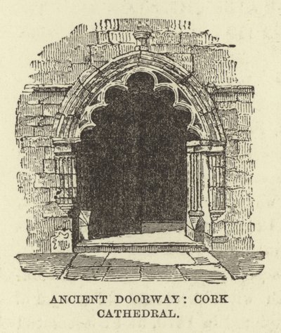 Oude deur, Cork-kathedraal door English School