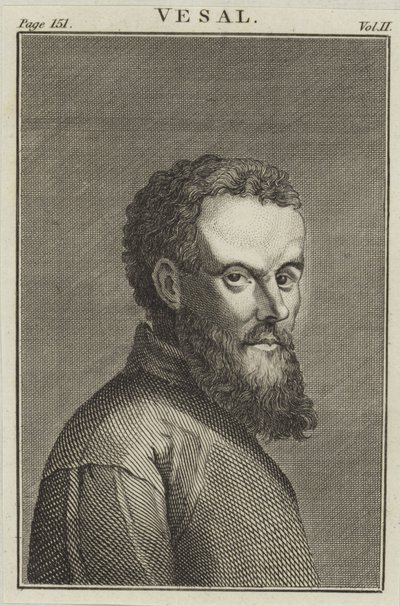 Andreas Vesalius door English School