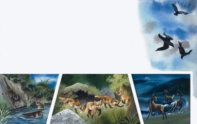 Dieren aan het spelen door English School