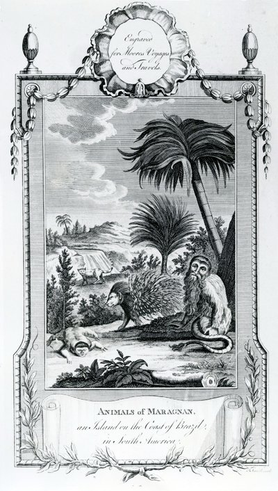 Dieren van Maragnan (illustratie uit Moores Reizen en Reizen) door English School