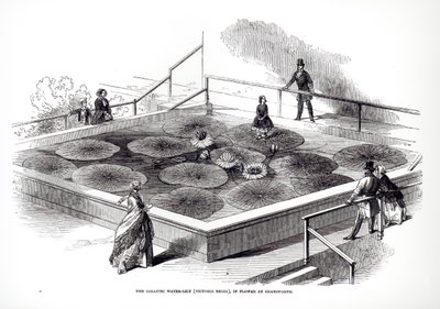 Annie Paxton op de Victoria regia waterlelie in de Grote Kas in Chatsworth, 1849 door English School