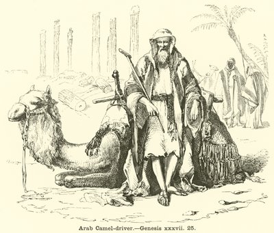 Arabische kameeldrijver door English School