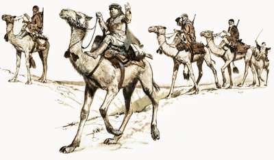 Arabieren steken de woestijn over op kamelen door English School