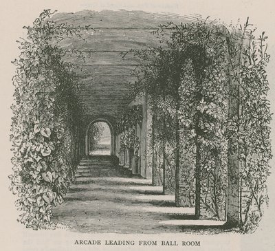 Arcade naar de Balzaal, Holland House door English School