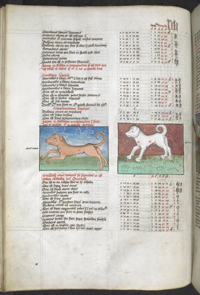 Canis maior en Canis minor afgebeeld als honden 