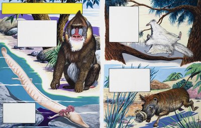 Diverse dieren door English School