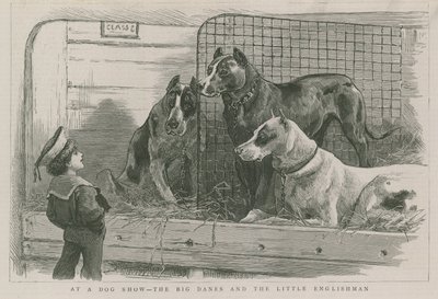 Op een hondenshow - de Deense Doggen en de kleine Engelsman door English School