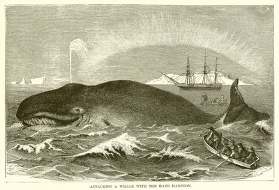 Aanval op een Walvis met de Handharpoen door English School