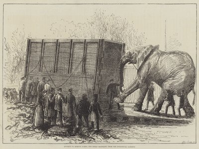 Poging om Jumbo, de grote olifant, uit de dierentuin te verwijderen door English School