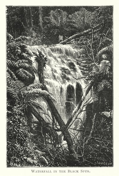 Australië: Waterval in de Black Spur door English School