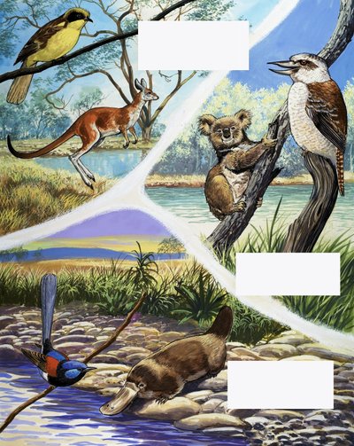 Montage van Australische dieren door English School