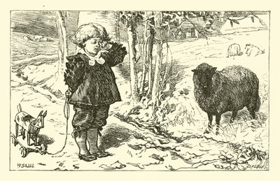 Baa, Baa, Zwart Schaap door English School