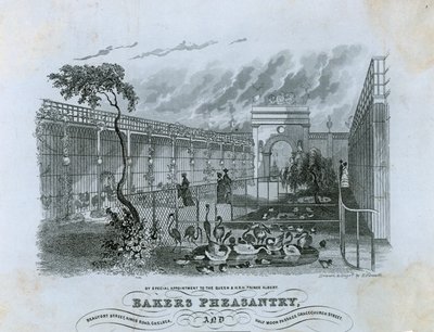 Bakers Fazanterie, Chelsea door English School