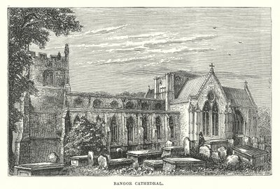 Kathedraal van Bangor (gravure) door English School
