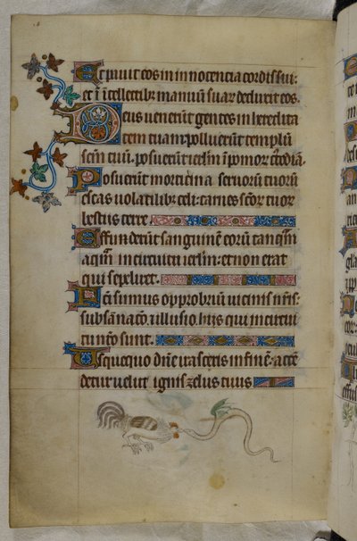Bas-de-page scène van een haan en een gevleugelde slang die vechten, met een versierde initiaal 