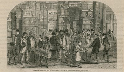 Vogelmarkt, Great St Andrews Street, Seven Dials, Londen door English School