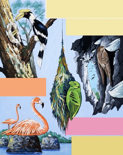 Vogels montage door English School