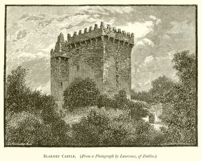 Blarney Kasteel door English School