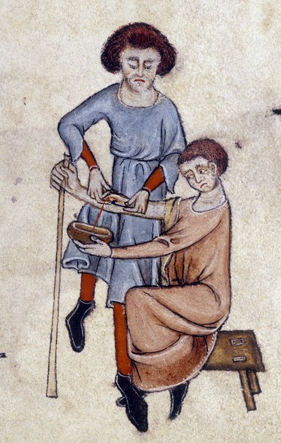 Bloedafname, uit het Luttrell Psalter, c.1325-35 door English School