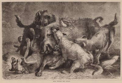 Zwijnenjacht, de aanval (gravure) door English School