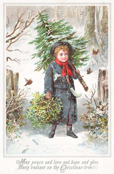 Jongen die kerstboom over schouder draagt door English School