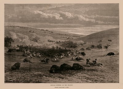 Buffeljacht op de prairies (gravure) door English School