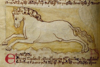 Paard, uit Bestiarium door English School