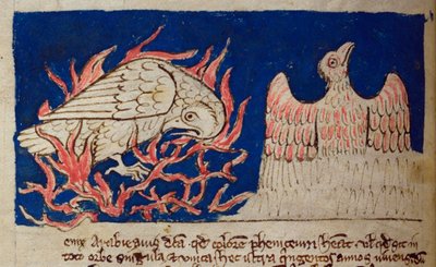 CCA-LitMs/D/10 fol. 17v Feniks, uit Bestiarium door English School