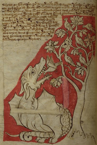 CCA-LitMs/D/10 fol. 23v De Perindensboom, uit Bestiarium door English School