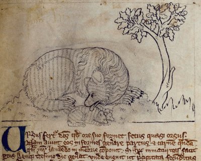 CCA-LitMs/D/10 fol. 3r Beer, uit Bestiarium door English School