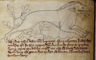 CCA-LitMs/D/10 fol. 3v Leucrota, uit Bestiarium door English School