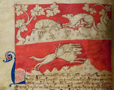 CCA-LitMs/D/10 fol. 4v Wolf, uit Bestiarium door English School