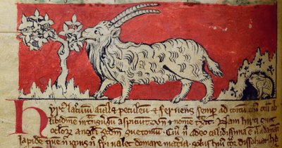 CCA-LitMs/D/10 fol. 8v Geit, uit Bestiarium door English School