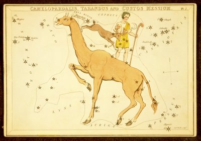 Camelopardalis, Tarandus en Custos Messium, uitgegeven 1825 (handgekleurde gravure) door English School