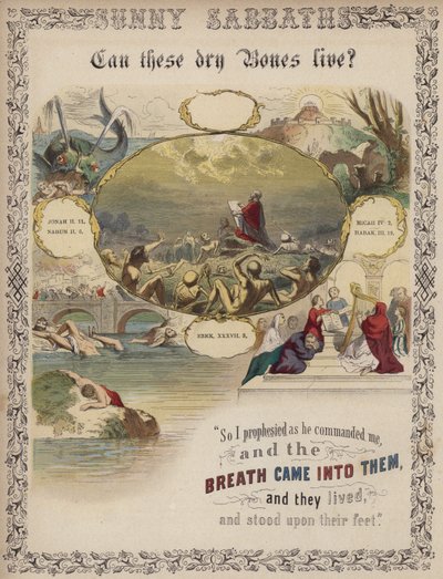 Kunnen deze droge beenderen leven? (gekleurde gravure) door English School