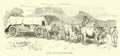 Kaapse ossenwagen door English School