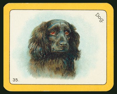 Kaart van The Black Cat Greyhound Racing Game door English School