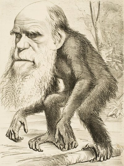 Karikatuur van Charles Darwin door English School