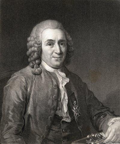 Carl von Linne of Linnaeus (1707-78) uit Gallery of Portraits, gepubliceerd in 1833 door English School