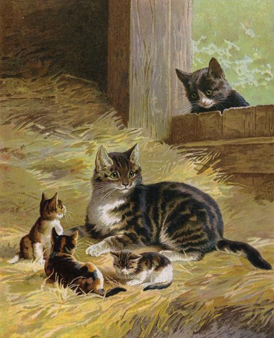 Kat met haar kittens in een schuur door English School