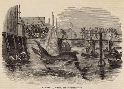 Een walvis vangen bij Deptford Pier door English School