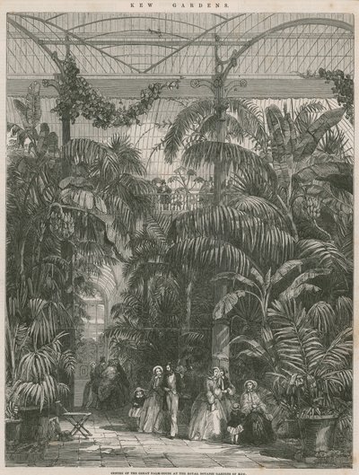 Centrum van het Grote Palmhuis in de Koninklijke Botanische Tuinen van Kew door English School